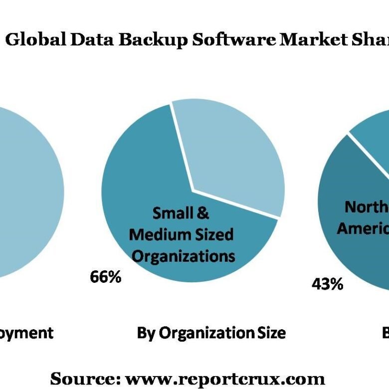 Data Backup Software Market-14747a83