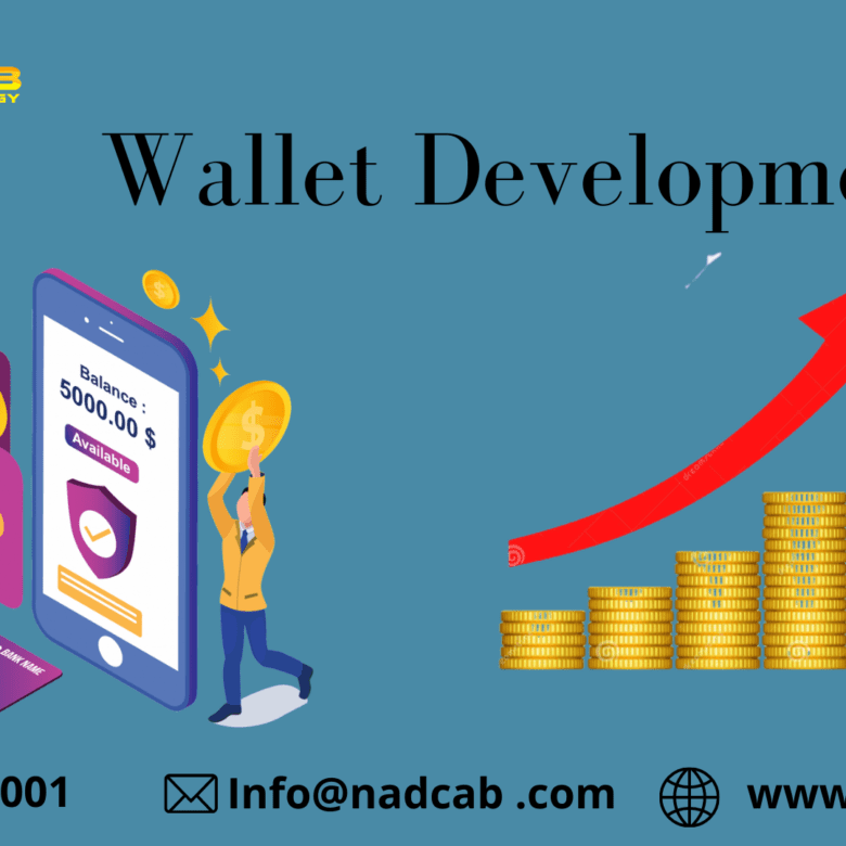 Wallet Development-68579f13