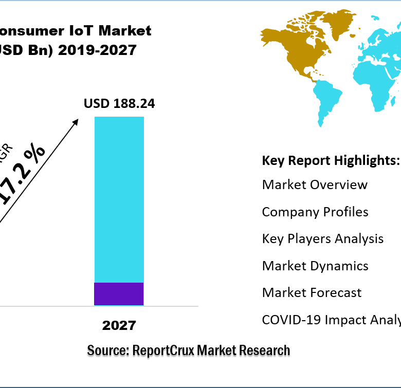 Consumer IoT Market Size-24fe08ed